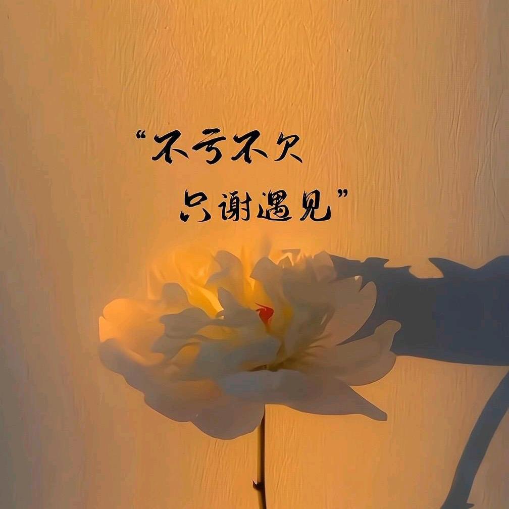 从❤️开始