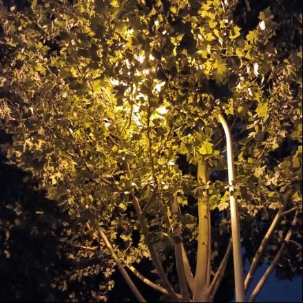 江龙木业，古建