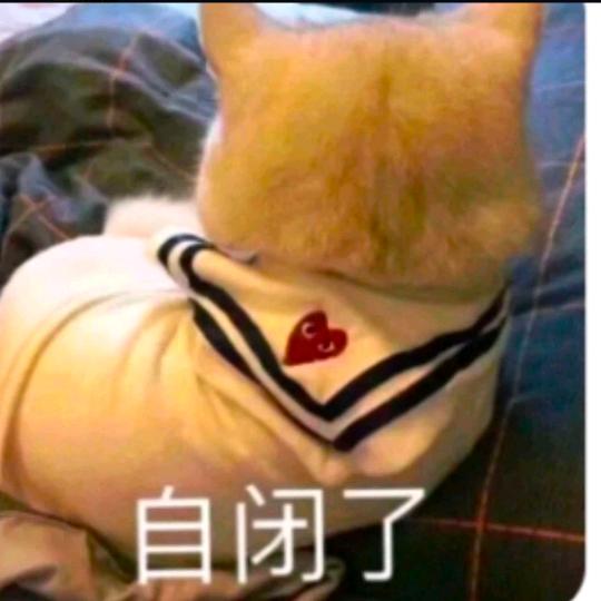 风吹哪页读哪页