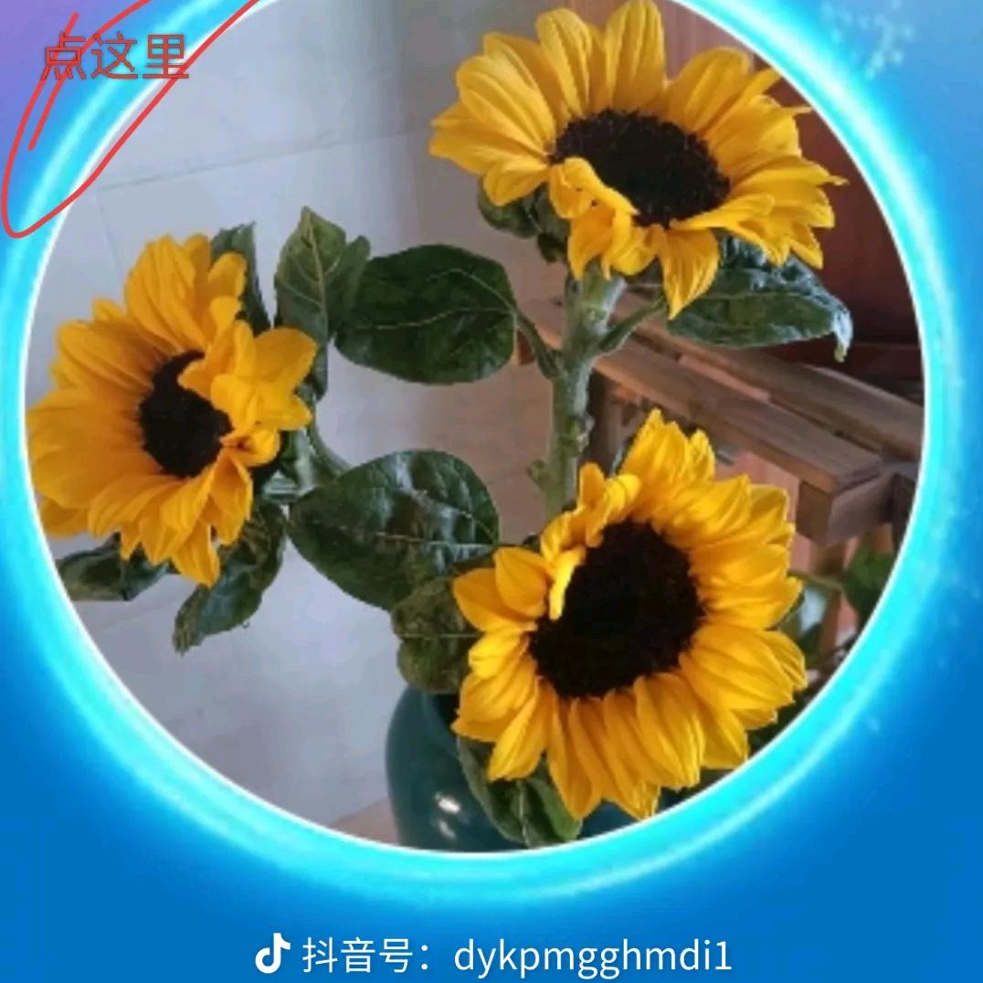 ？？
