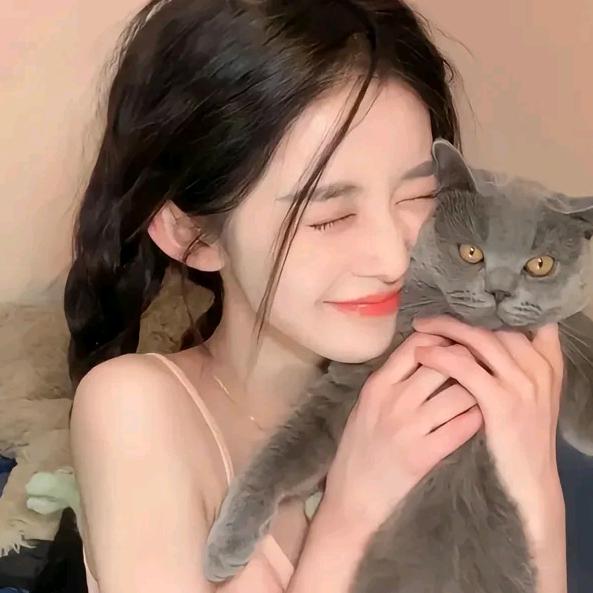 小木蛋蛋