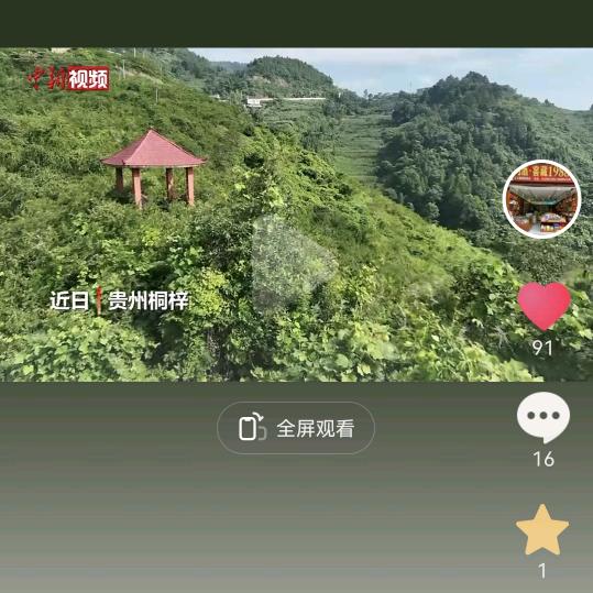 莲莲姐首播