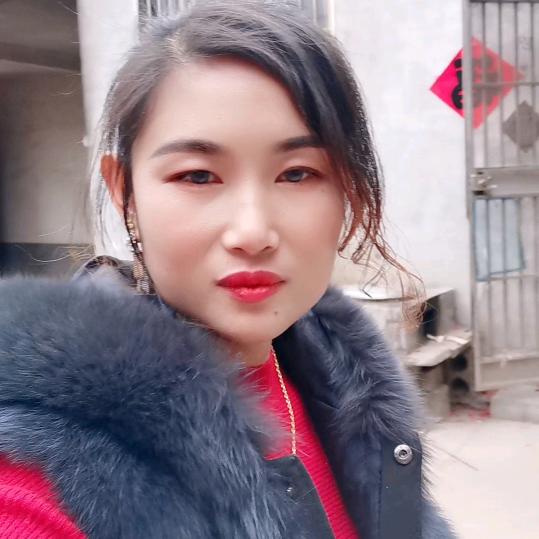 小菊