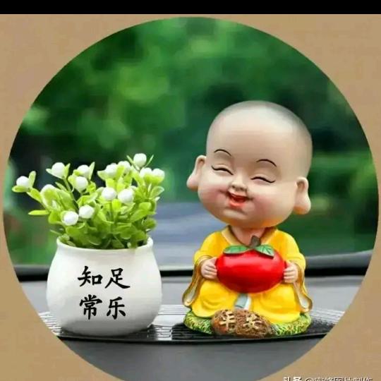 思卿好物