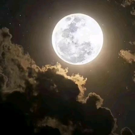 ಇ᭄揽月敬风尘࿐