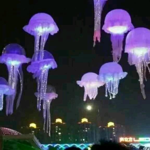 枫叶情