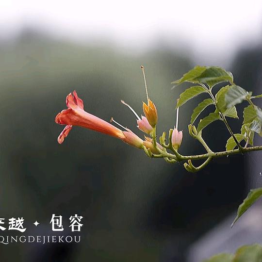 用户104917691988