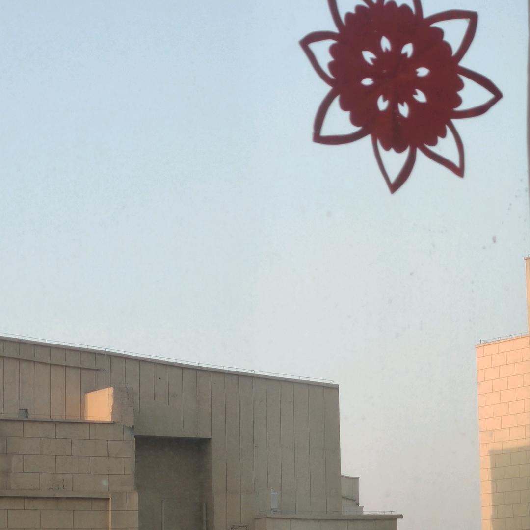 @鲤鱼同学