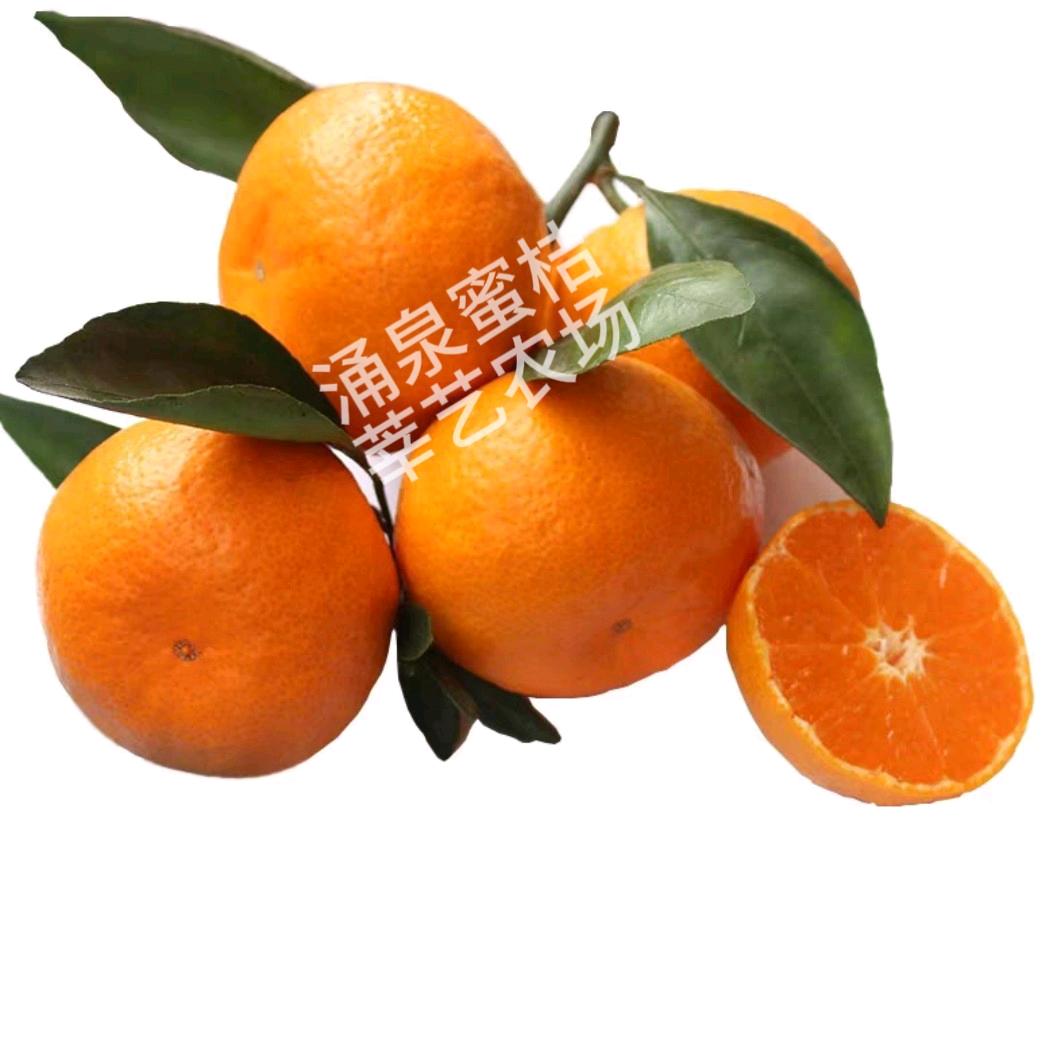 莘艺果园臻选
