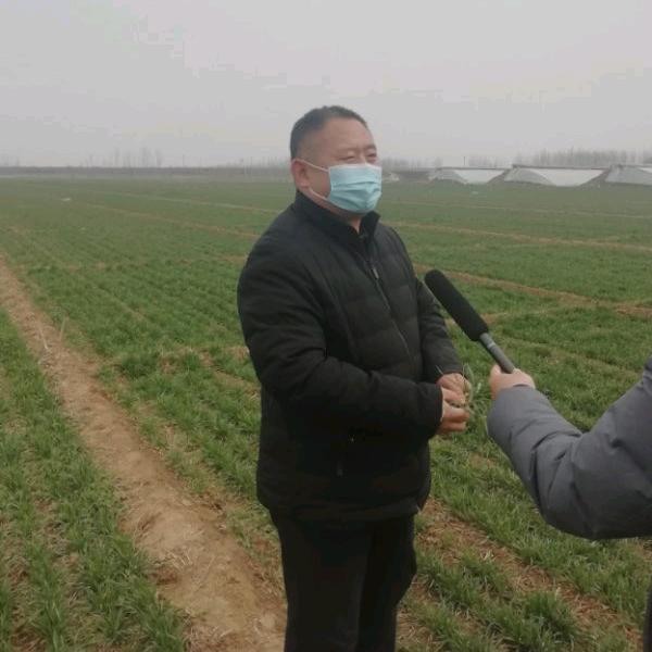 老李话农技