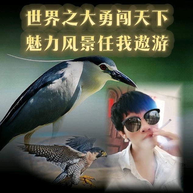 冲锅☞莫里开陆