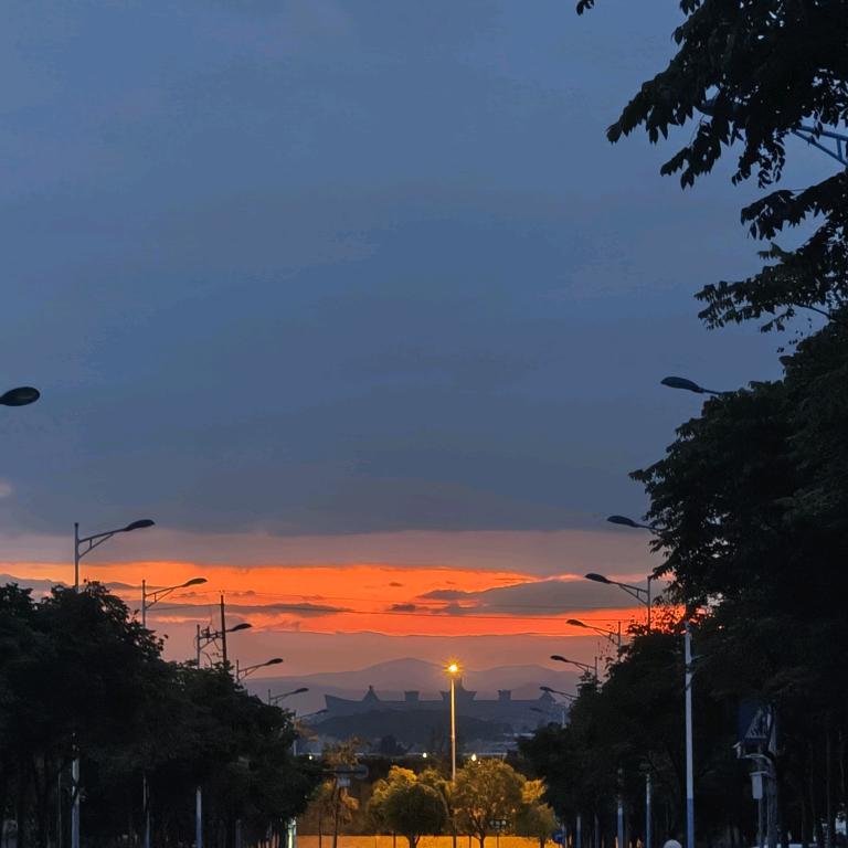 向阳花开