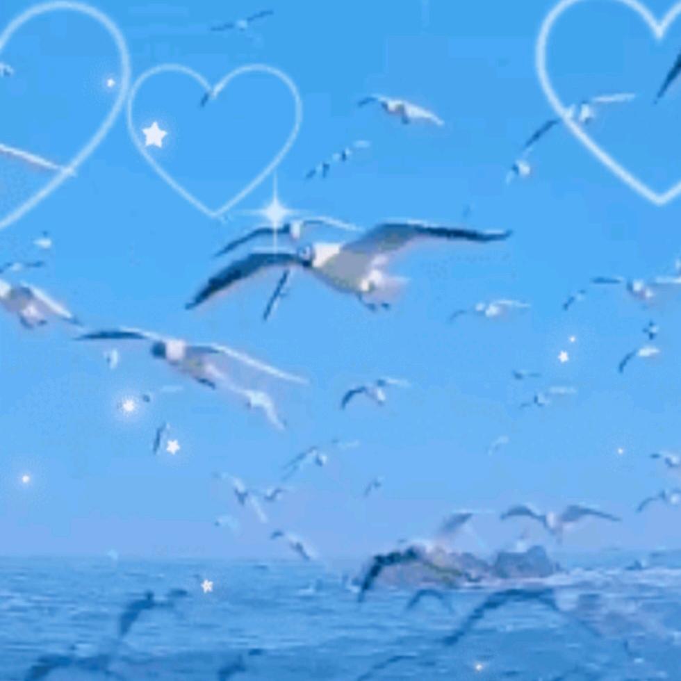 ㅤㅤ ㅤ  ㅤㅤ ㅤ