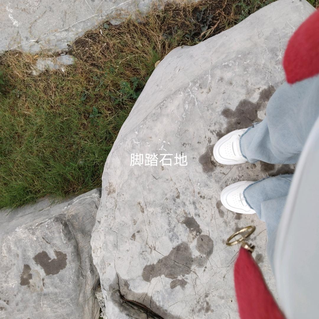 水中草
