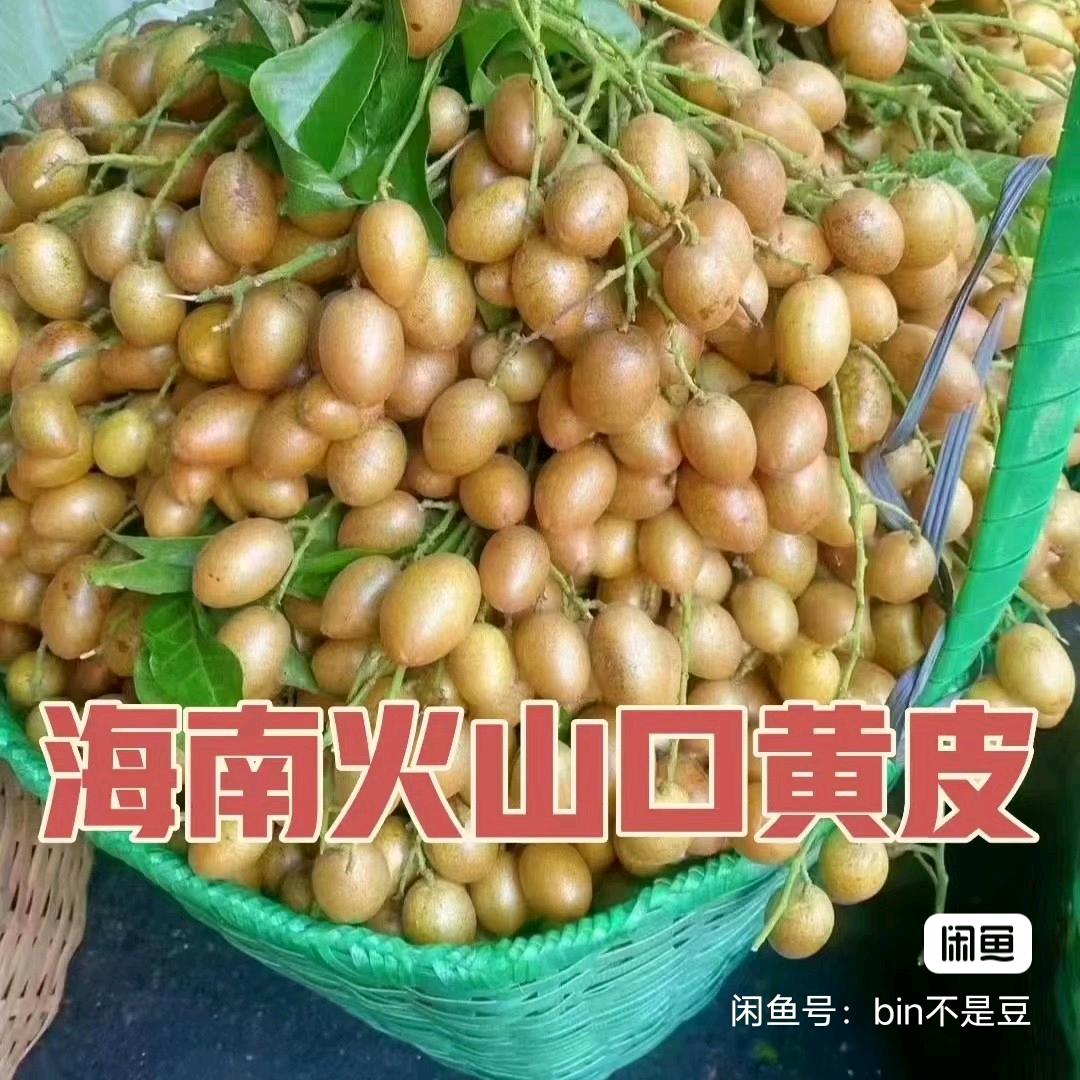 海南农村果蔬特产店