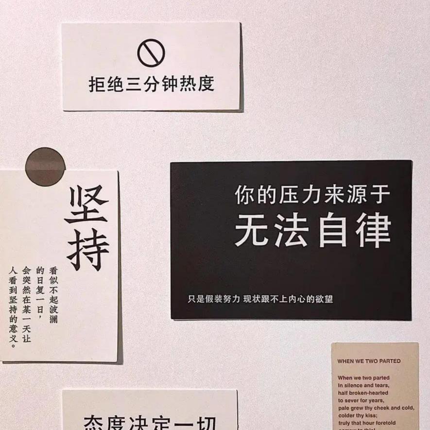 小麻薯的存钱计划（未婚未育，搞事业中）