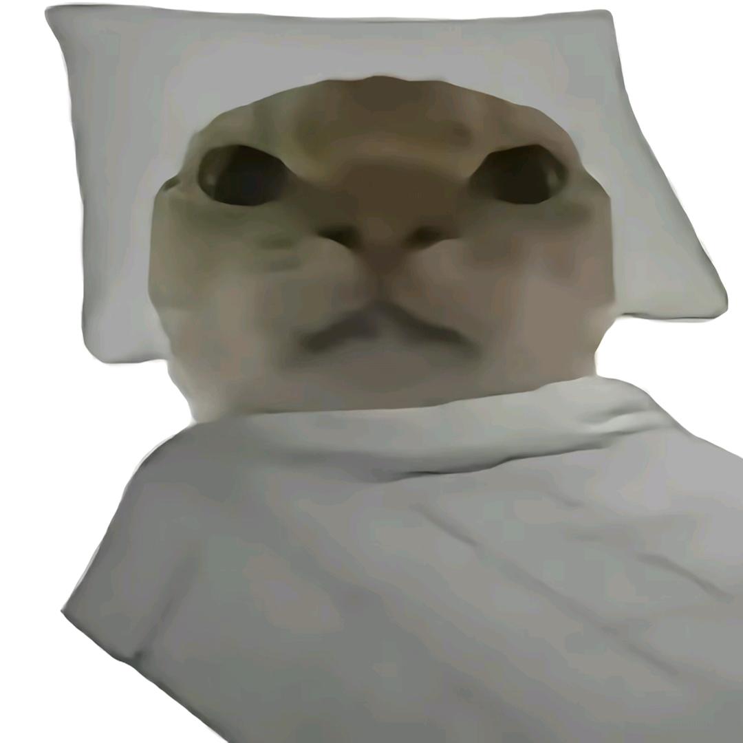小入机e