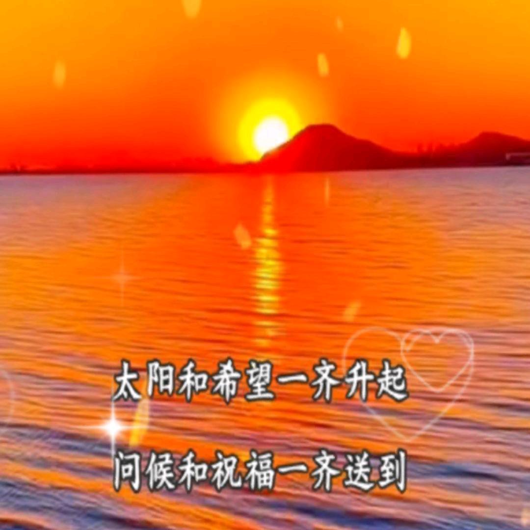 杨光熹微
