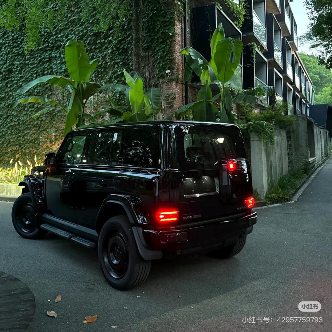 爱越野的美丽总