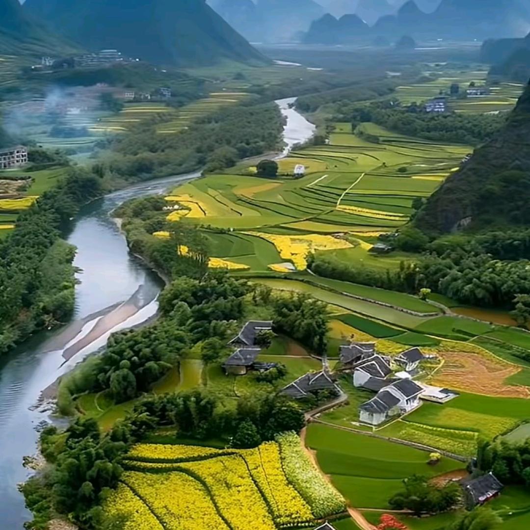 妙惟