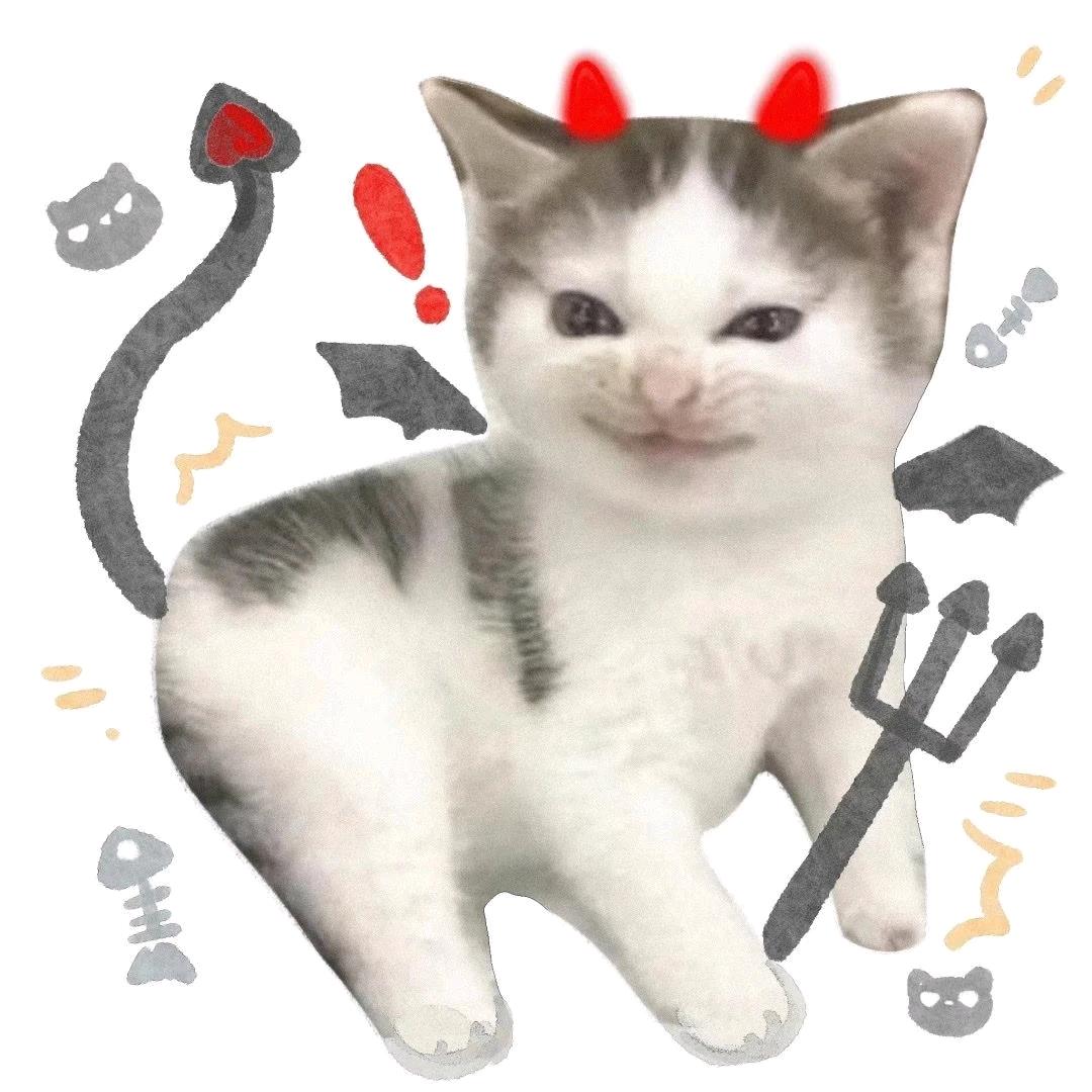 羊羔绒（接陪版）