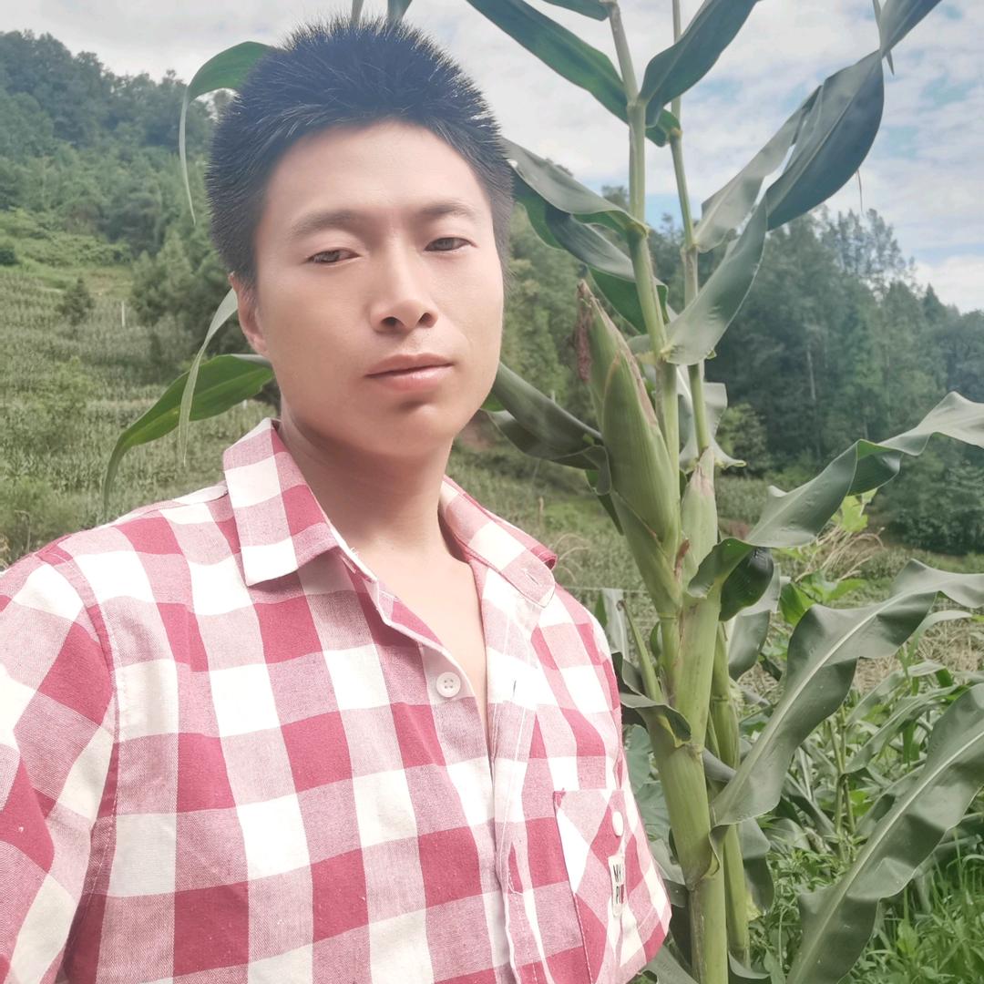 你真我就真：你假我转身