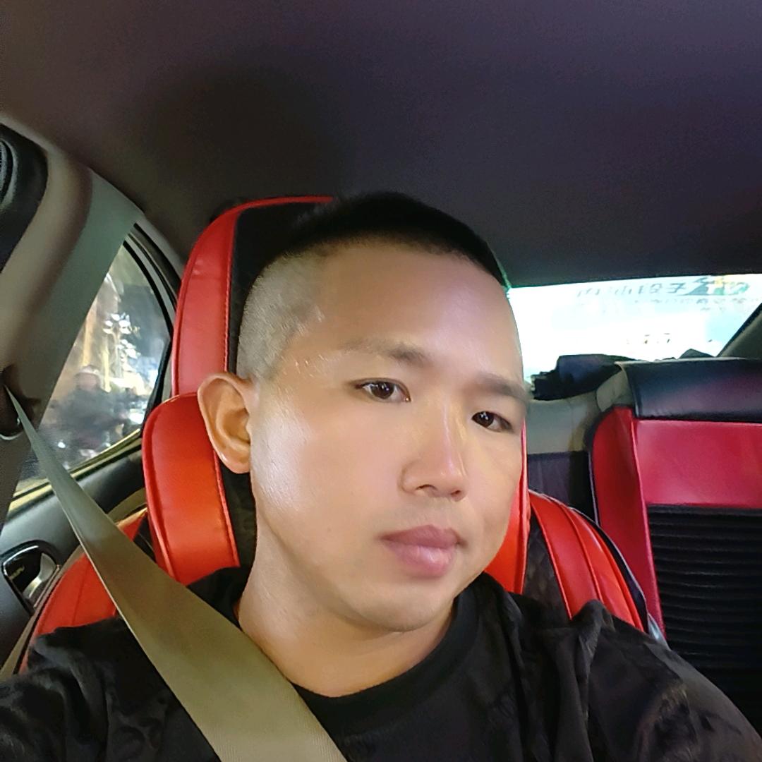 会飞的狼