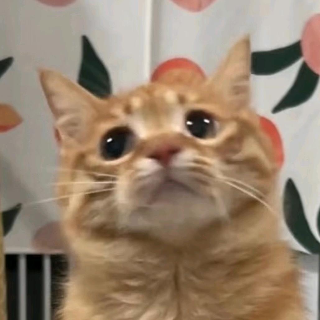 C  e i