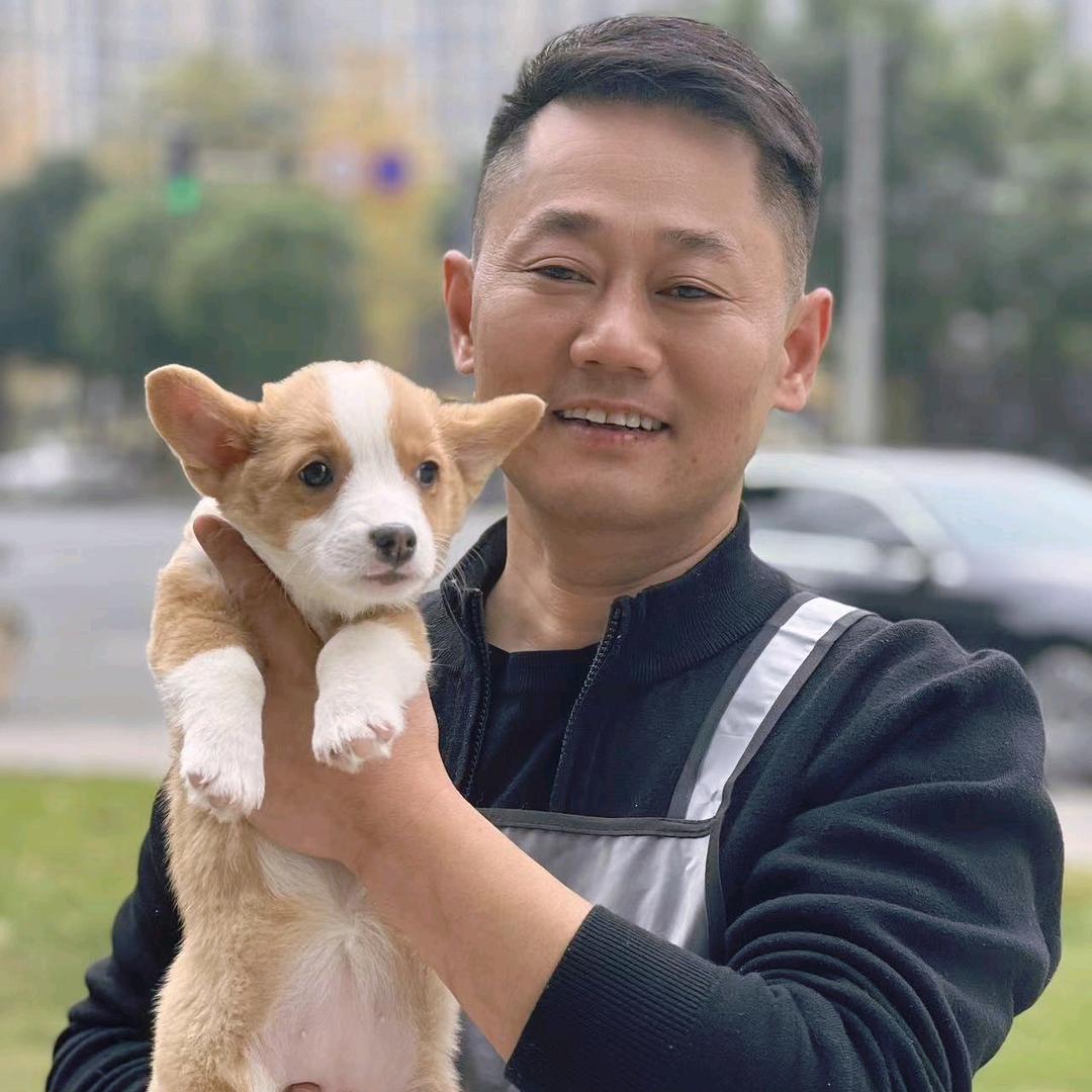 成都勇哥宠物繁育基地