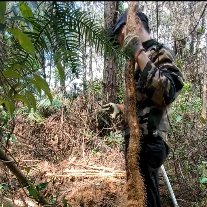 杆杆是🐟🐟🐟桶桶是🐝🐝🐝