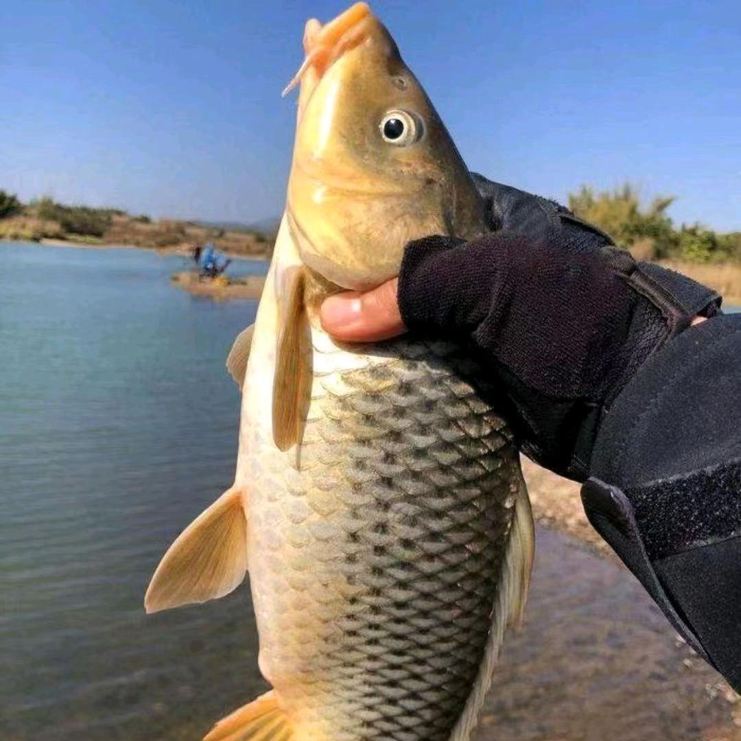 🐠爆护王🐠🐠🐠