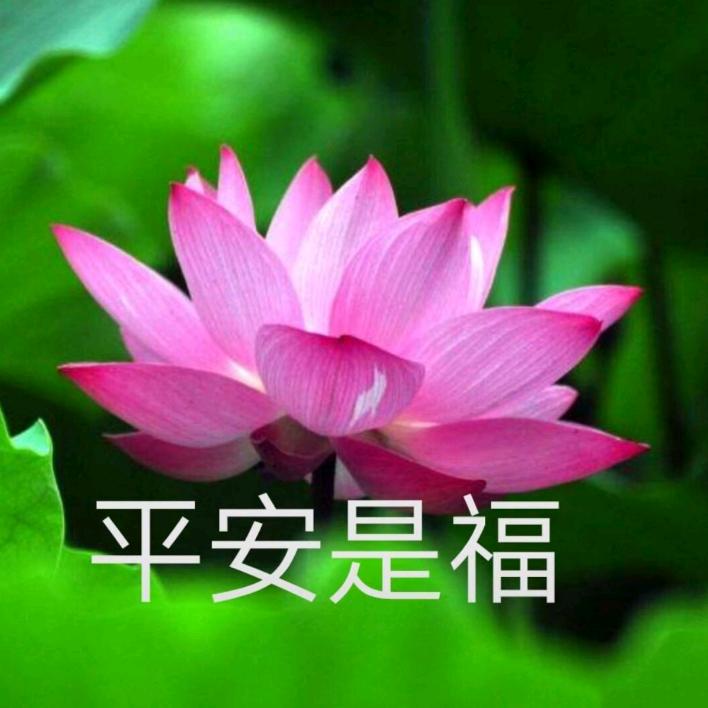 美好时光