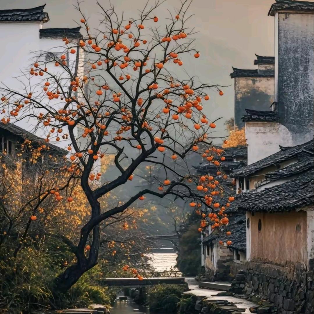 诺一