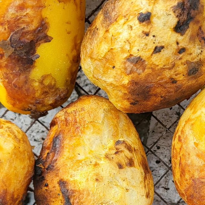 总有刁民想害朕2