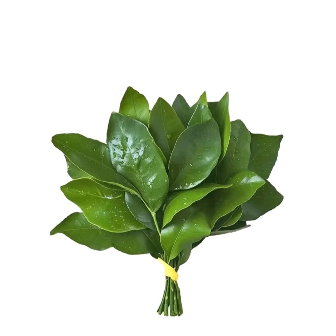 梨莓柿吧（减肥ing）