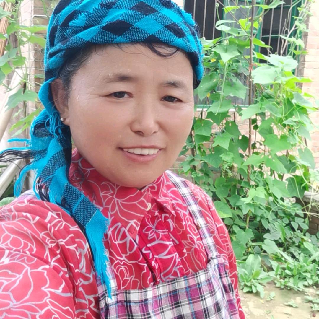 农村肥姐（晚8点28分）