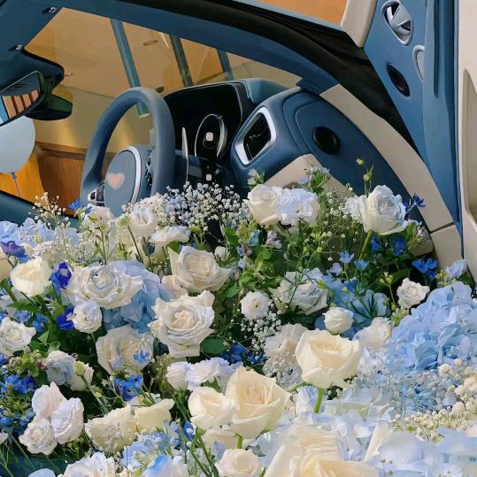 亿朵朵花卉种球