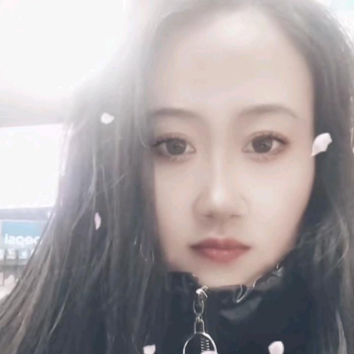 ✨冰心