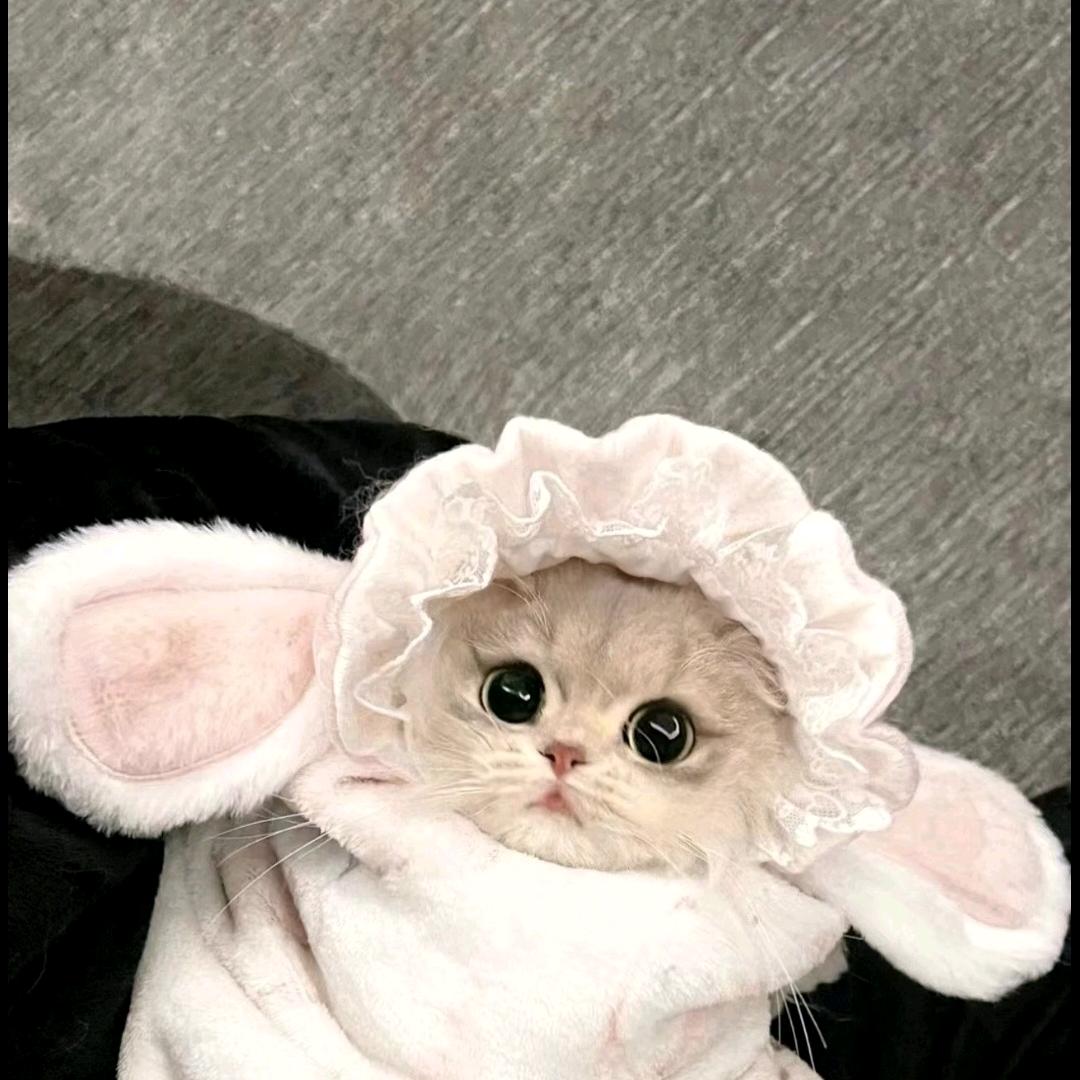 海里.🍬