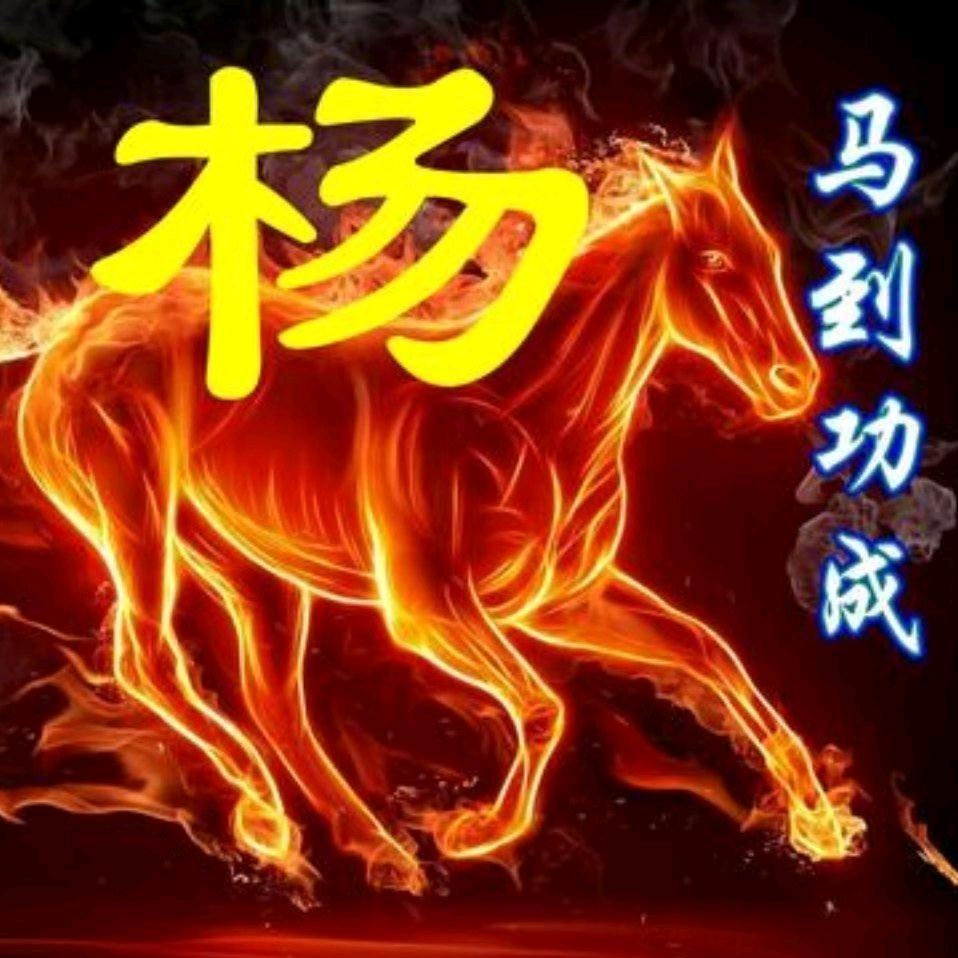 🐑小白杨🐑
