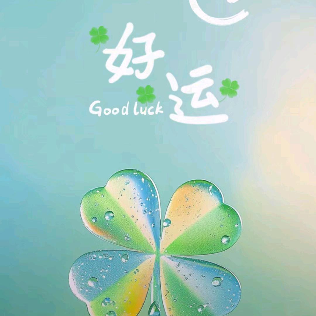 ❤️喜杨杨❤️