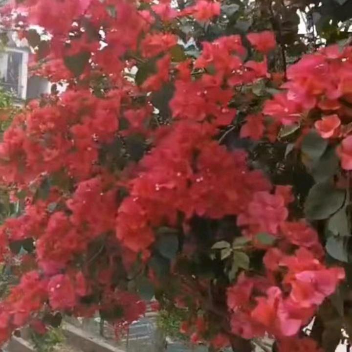 不忘初心。