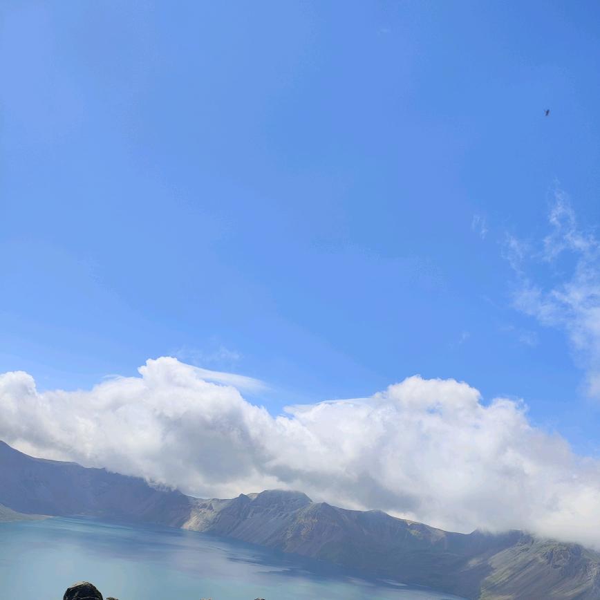 寒梅