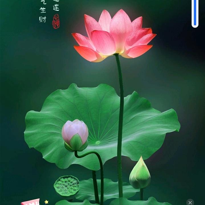 秀