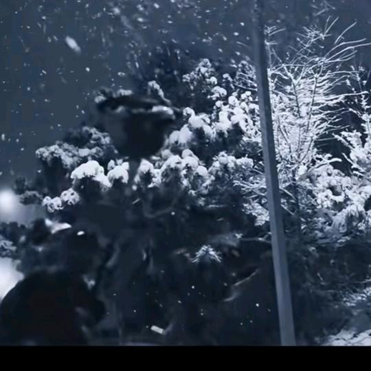 🖤🖤🖤🖤🖤🖤🖤