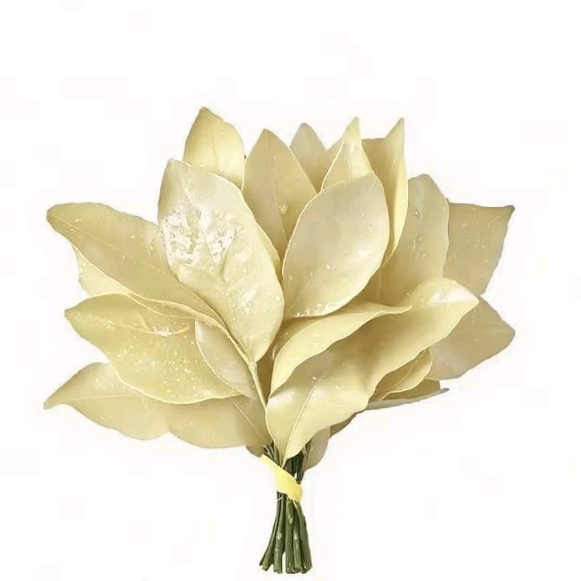 恭喜露思成为火炬手 💜