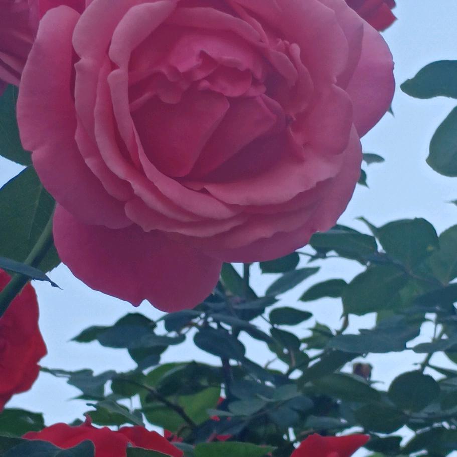 晴天
