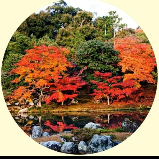 唐诗小镇孔雀谷