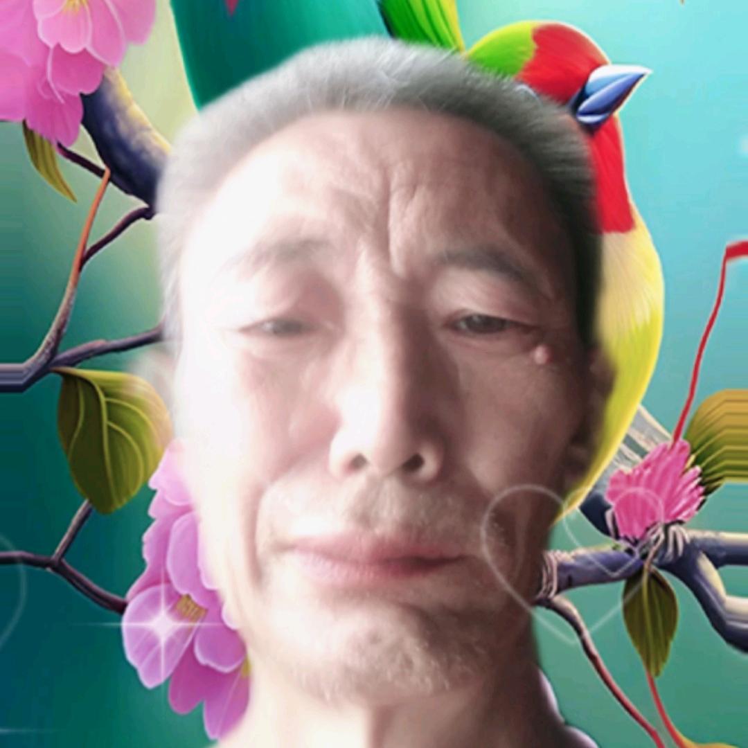 母光宗