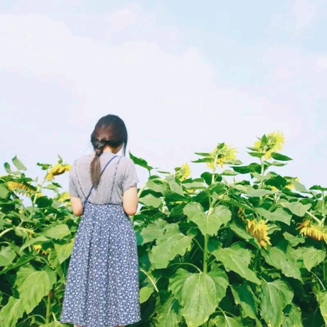 木易新创寿司